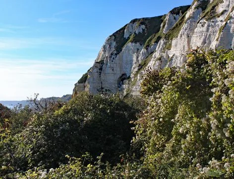 Hooken undercliff between Branscombe and Beer in Devon, England. Stock Photos