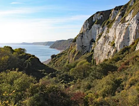 Hooken undercliff between Branscombe and Beer in Devon, England. Stock Photos