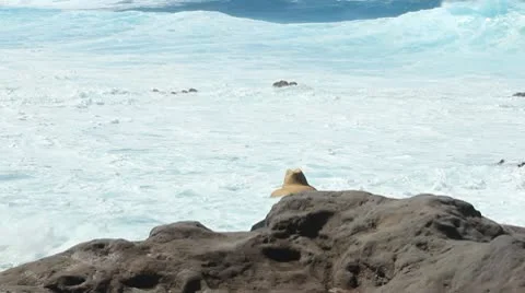 Hookipa002 Stock Footage 10744032