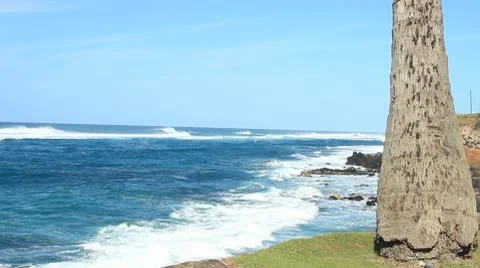 Hookipa003 動画素材 10744055