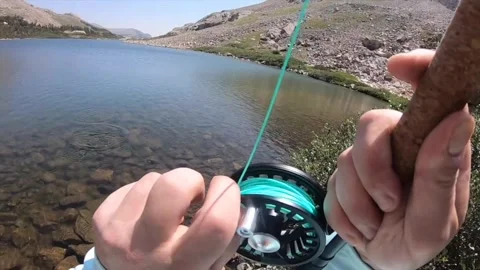 Hookset and Landing of Greenback Cutthroat 2 Stock-Footage 337006745