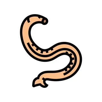 Hookworm parasite color icon vector illustration Stock Illustration