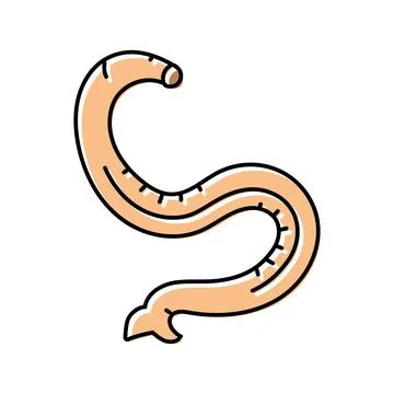 Hookworm parasite color icon vector illustration 스톡 일러스트