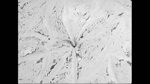 Hookworm Parasite Entering The Human Body Through A Skin Pore Vídeos de archivo 130721652