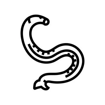 Hookworm parasite line icon vector illustration 스톡 일러스트