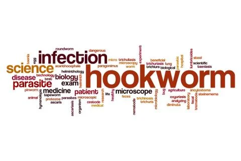 Hookworm word cloud Stock Illustration