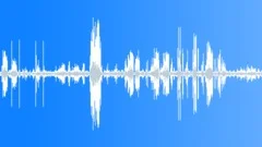 Hoolock Gibbon Calls LondonSound Effect
