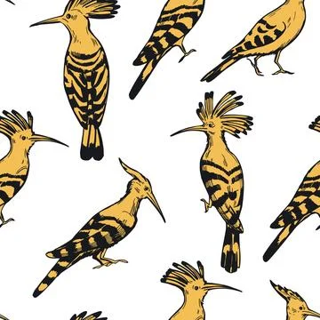 Hoopoe birds. Vector pattern 스톡 일러스트