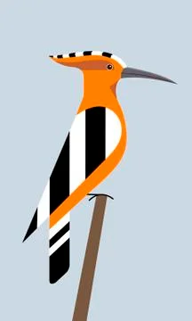 Hoopoe is sitting 스톡 일러스트