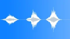 Hooray! children shout in polish Sound Effect