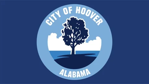 Hoover alabama with tree silhouette and view Stock Footage 331760053