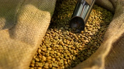 Hoover sips up the coffe beans SLOW-MO Stock Footage 53811368