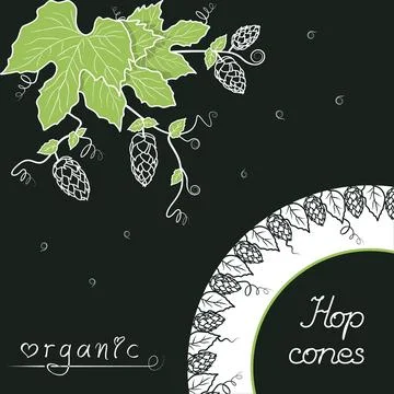Hop branch with cones corner pattern Stock Illustration