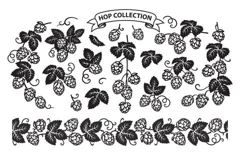 Hop branches with cones and leaves seamless border. Hand drawn vector Stock Illustration