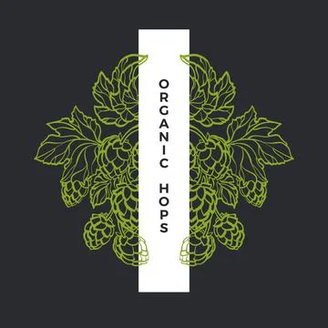 Hop engraving. Vector nature pattern. Natural leaf and green cone. Botanical  Illustrazione stock