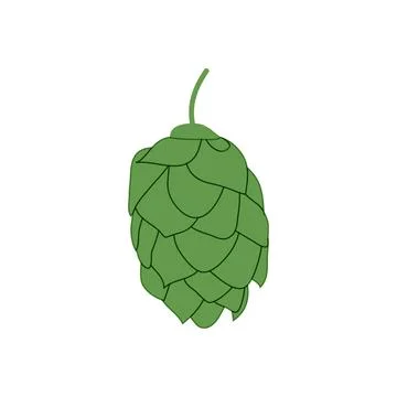 Hop icon vector beer cone pine illustration leaf art bud green decoration. .. Stock Illustration