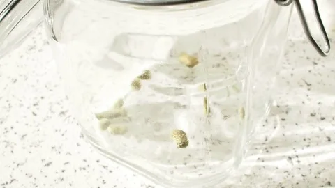 Hop pellet Video stock 70897468