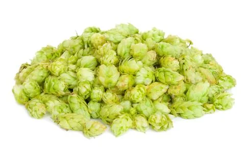 Hop Stock Photos