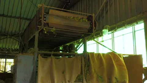 Hop Processing Equipment with Large Collection Bags Stock-Footage 346166349