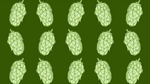 Hop sprout pattern, ideal footage for themes such as craft beers, natural Stock Footage 133488932