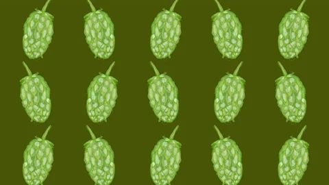 Hop sprout pattern, ideal footage for themes such as craft beers, natural Stock Footage 134238557