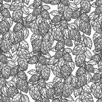 Hop vector seamless pattern. Stock Illustration