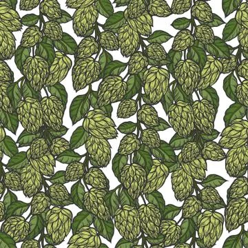 Hop vector seamless pattern イラスト素材