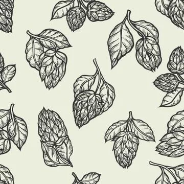 Hop vector seamless pattern. Illustrazione stock