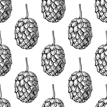 Hop vector seamless pattern.Black hand drawn artistic beer  hopes on white ba Stock Illustration