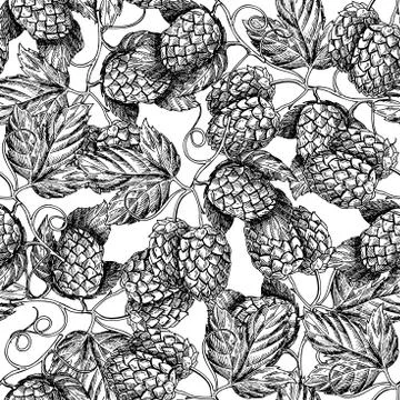 Hop vector seamless pattern.Black hand drawn artistic beer  hop branch with l Stock Illustration