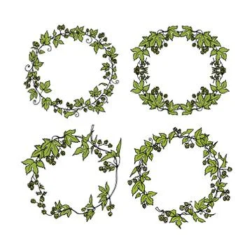 Hop wreath set Stock Illustration