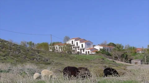 Hope centre Lesvos Stock Footage 62377285