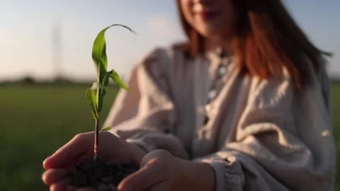 Hope for greener future Stockbeeldmateriaal 337941724
