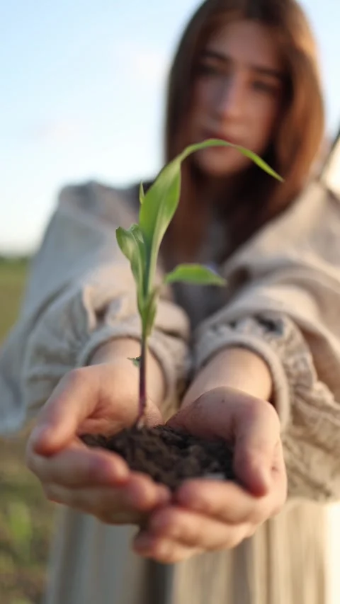 Hope grows from small actions 動画素材 337941258