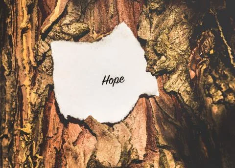 Hope text Stock Photos