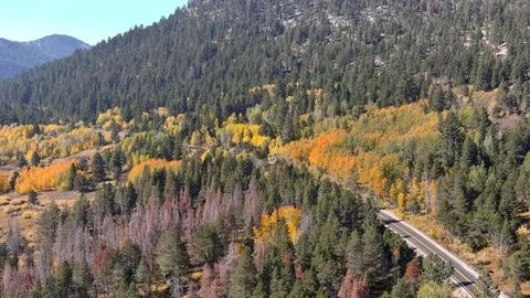 Hope Valley, California Stock Footage 255795366