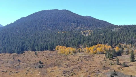 Hope Valley, California Stock Footage 255795495