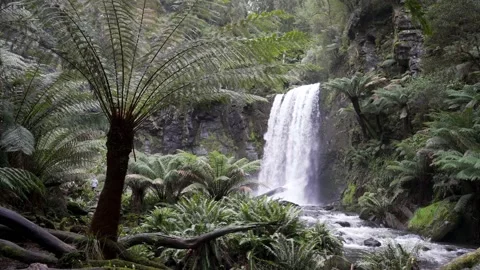 Hopetoun Falls Stock Footage 217109075