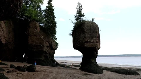 Hopewell Rocks Stock Footage 82891204