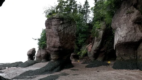 Hopewell Rocks Stock Footage 82891289