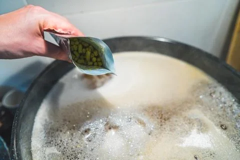 Hopping for bitterness, adding hops pellets to water and malt Stock Photos