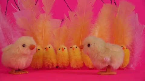 Hopping yellow Easter chicks Stock Footage 73866186