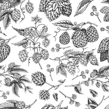Hops and Barley Seamless pattern. Malt Beer. Engraved vintage Hand drawn Stock Illustration