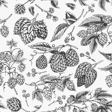 Hops and Barley Seamless pattern. Malt Beer. Engraved vintage Hand drawn Stock Illustration