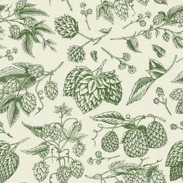Hops and Barley Seamless pattern. Malt Beer. Engraved vintage Hand drawn Stock Illustration