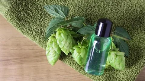 Hops and a small bottle placed on green fabric with natural elements Stock Photos