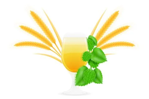 Hops and wheat ingredients for making beer vector illustration Stock Illustration
