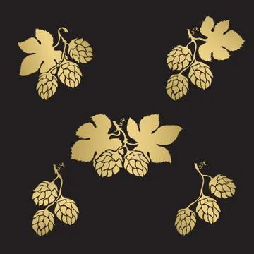 Hops cone hand drawn icon set Stock Illustration