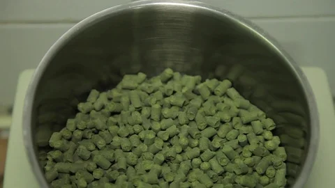 Hops in the container Stock Footage 80637521