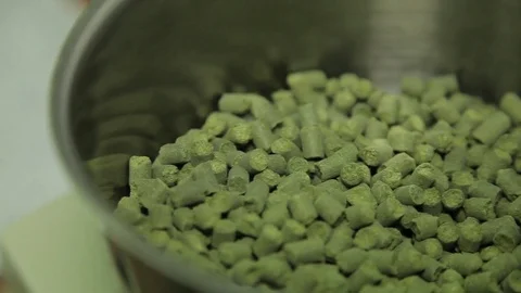 Hops in the container Stock Footage 80637625